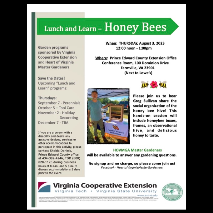 PosterFinalHoneybeesIG