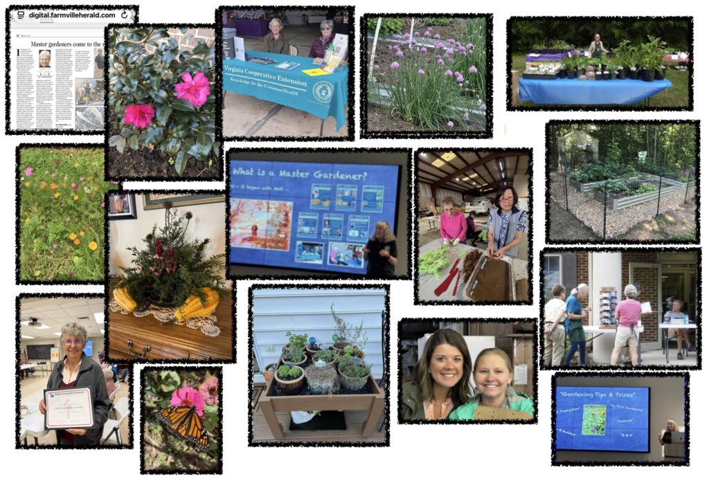 Photos of HOVMGA events
